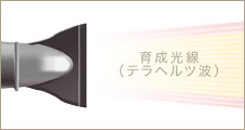 ドライヤー内部から「育成光線」を放出
