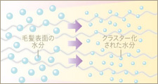 毛髪表面の水分を分解（クラスター化）